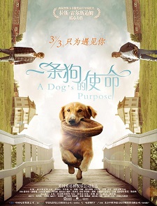 一条狗的使命/为了与你相遇